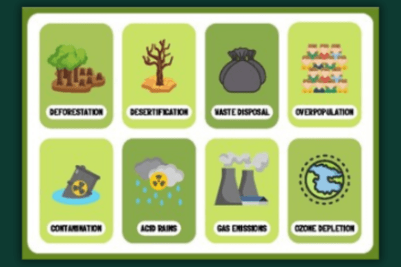 Download English Vocabulary Flashcards - Card Collection